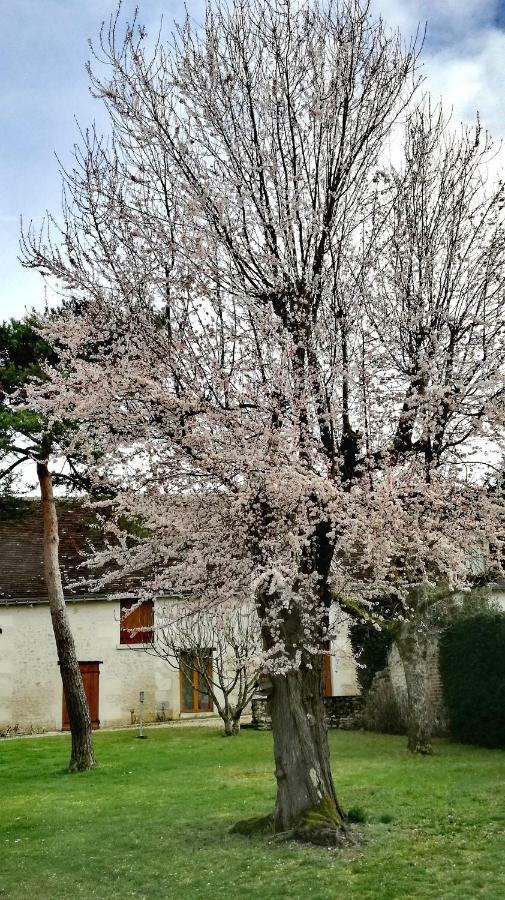 La Haute Traversiere Francueil Kültér fotó
